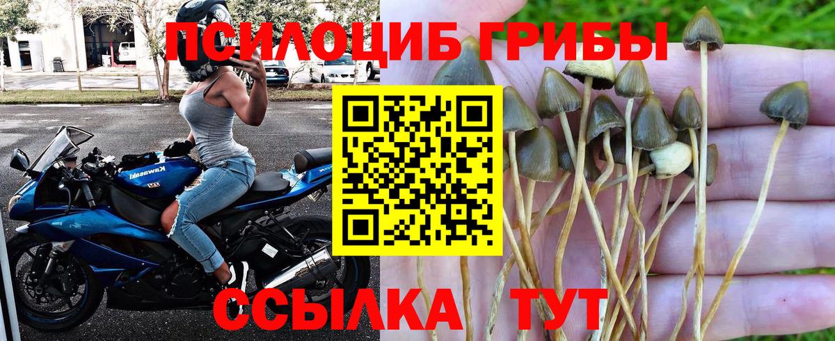 КОКАИН Сарапул