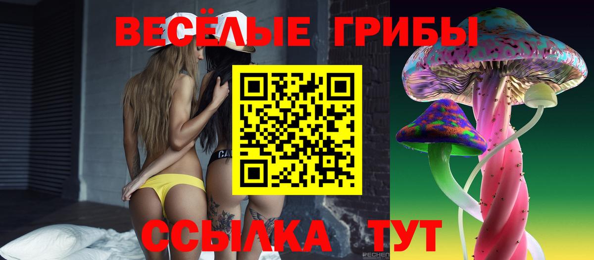 Псилоцибиновые грибы Psilocybine cubensis Сарапул