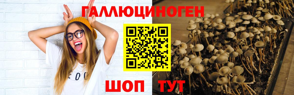 Сарапул  Галлюциногенные грибы прущие грибы  Галлюциногенные грибы Psilocybine cubensis  Вход с VPN 